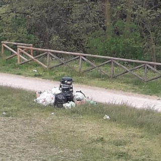 spazzatura al di fuori di un cestino nel parco