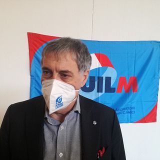 rocco palombella