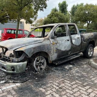 rogo auto