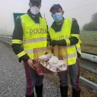 Due agenti della pattuglia autrice del salvataggio del volatile
