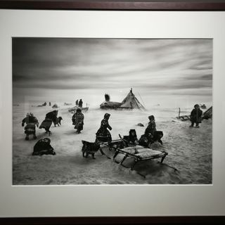 Reggia di Venaria, in mostra i gioielli della Natura negli scatti di Salgado
