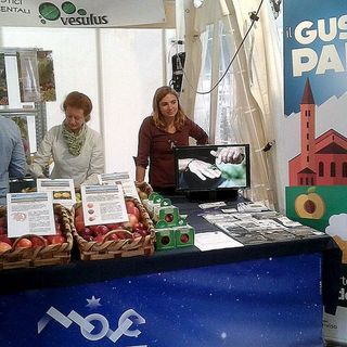 Salone del Gusto di Torino: anche i ragazzi dell’Istituto Agrario di Verzuolo protagonisti Coinvolti nel laboratorio di promozione e degustazione della mele piemontesi negli stand Move