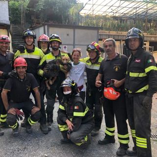 cane salvato dai pompieri
