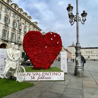 Sempre meno rose: a San Valentino i torinesi prediligono ranuncoli e gipsofila