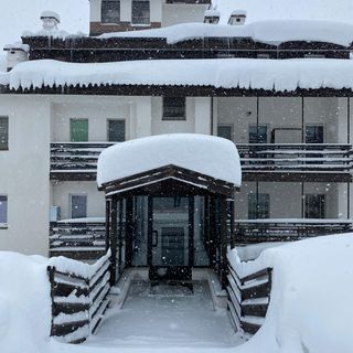 neve alberi e montagne