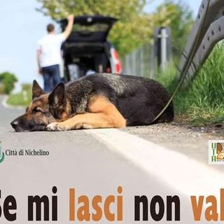Nichelino contro l'abbandono degli animali