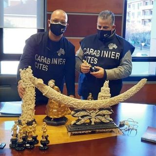 Già venduta per 45mila una &quot;Coppa da Libagione&quot; (immagine di precedenti sequestri)