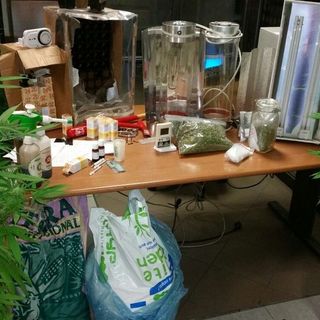 Coltivavano marijuana in casa, arrestate due persone