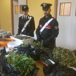 “Droga express” intercettato dai carabinieri: trasportava 8 kg di marijuana