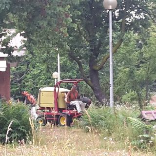 A Torino parte lo sfalcio del verde, Appendino: &quot;In ritardo causa Covid, ma ne faremo uno in più&quot;