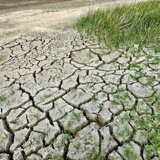 Coldiretti: &quot;I cambiamenti climatici mettono a rischio produzione e occupazione&quot;