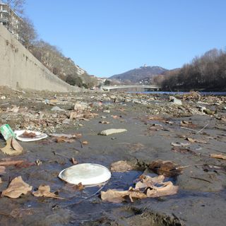 Coldiretti rilancia l'allarme siccità: &quot;Portata del Po dimezzata&quot;