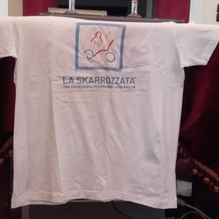Arriva a Torino &quot;La Skarrozzata: una passeggiata per provare la disabilità&quot; (e non solo)