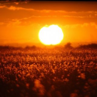 Weekend di caldo e afa elevati: da lunedì graduale calo delle temperature