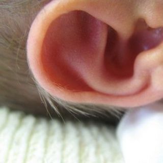 orecchio di un neonato