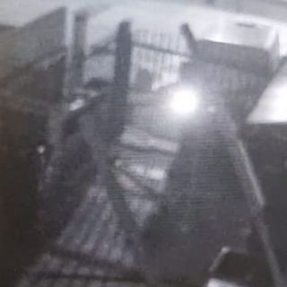 Spaccata con furto in un'azienda di Grugliasco [VIDEO]