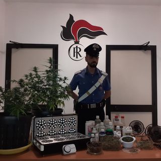 Castiglione Torinese, nella &quot;stanza segreta&quot; c'era la serra per la marijuana: arrestato 49enne [VIDEO]