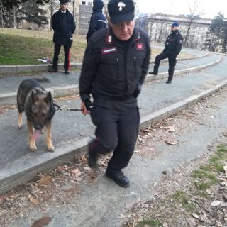 Preso Moustapha, il super pusher "itinerante" del Valentino (FOTO) Preso Moustapha, il super pusher "itinerante" del Valentino (FOTO)