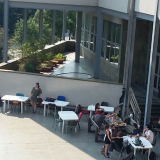 Gli studenti “occupano” la terrazza di Palazzo Nuovo a Torino e ci fanno un’aula studio
