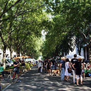 &quot;San Salvario ha un cuore verde&quot;: l'appuntamento florovivaistico di Torino