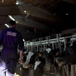 Agricoltori, Inalpi: &quot;Individuare i veri obiettivi della protesta, ma riconoscere anche gli elementi di sostegno&quot;