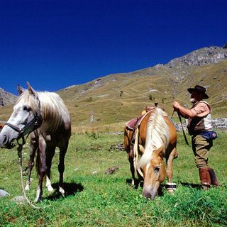 Coldiretti: &quot;Con le indennità compensative boccata d’ossigeno per le imprese agricole della montagna&quot;