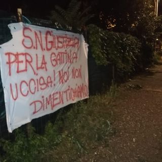 Blitz degli animalisti: "Giustizia per la gattina uccisa. Noi non dimentichiamo" Blitz degli animalisti: "Giustizia per la gattina uccisa. Noi non dimentichiamo"