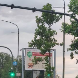 A Torino un nuovo T-Red, multe in arrivo per chi brucia il rosso