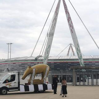 tapiro gigante fuori dall'allianz stadium