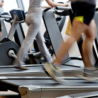 palestra