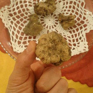 Lasciati coccolare al ristorante la Piola assaporando il pregiato tartufo d'Alba