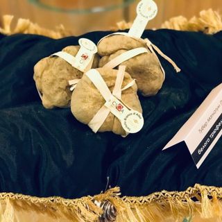 Castello di Grinzane Cavour: presentata a Mosca la XX edizione dell'asta mondiale del tartufo bianco Castello di Grinzane Cavour: presentata a Mosca la XX edizione dell'asta mondiale del tartufo bianco