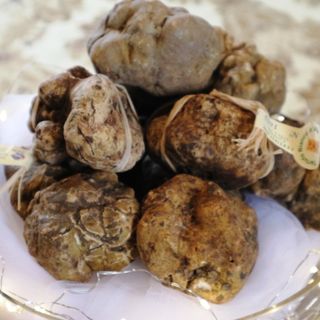 Fiera internazionale del tartufo bianco d'Alba: un'ottima annata