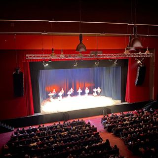 'Viale Buridani Charity dinner' al teatro Concordia di Venaria