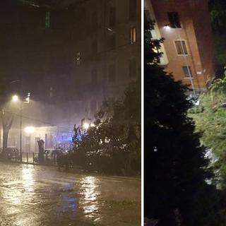 Violento temporale a Torino, decine di alberi caduti in strada: chiuso corso Giulio Cesare