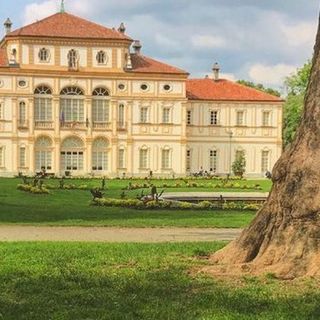 Alla Tesoriera controlli di stabilità per 430 alberi