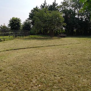 Moncalieri, si avvia a rinascere l'area del campo sportivo di Tetti Piatti (FOTO)