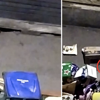 Aurora, via Carmagnola tra topi e rifiuti. Alessi (Fdi): “Tutto questo nell'indifferenza della Città” [VIDEO]