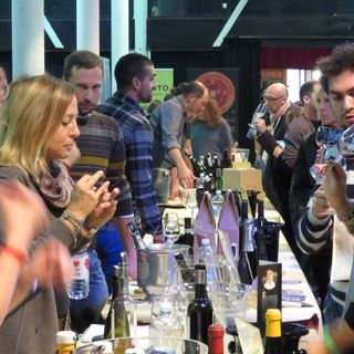 Il vino naturale e di qualità si sposta al Valentino: arriva il weekend di Torino Beve Bene