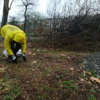 Parco Michelotti si rimette a nuovo con Torino Spazio Pubblico