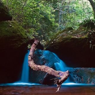 Torinodanza 2020, Cristina Kristal Rizzo presenta in prima nazionale il suo nuovo &quot;Toccare the White Dance&quot;