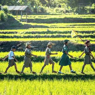 boy scout in fila indiana
