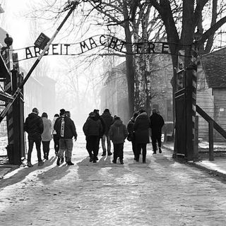 treno della memoria e laboratori