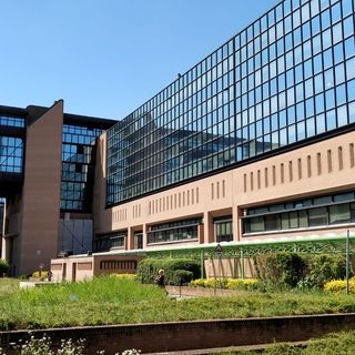 Giulia Ligresti chiede di scontare la pena con un lavoro socialmente utile, la procura dice no