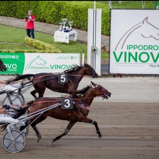 ippodromo di vinovo