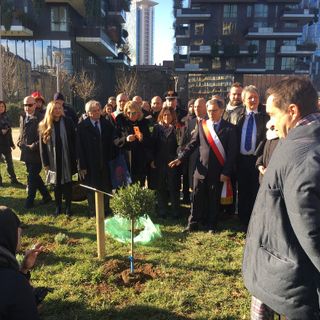 Milano, piantato un piccolo ulivo per la pace
