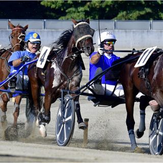 Un sabato con il circuito “Delle Stelle” all'ippodromo di Vinovo
