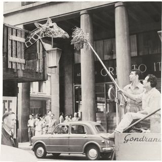 giraffa in via roma