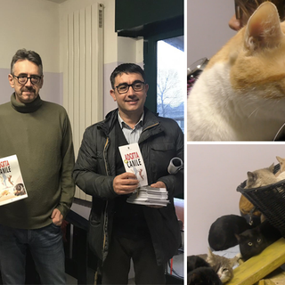 A Torino il 2020 sarà l'anno del gatto, Unia: &quot;Tanti mici in città, prendiamocene cura&quot;
