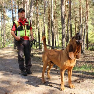 Controlli della Polizia a Torino in zona Aurora con le unità cinofile